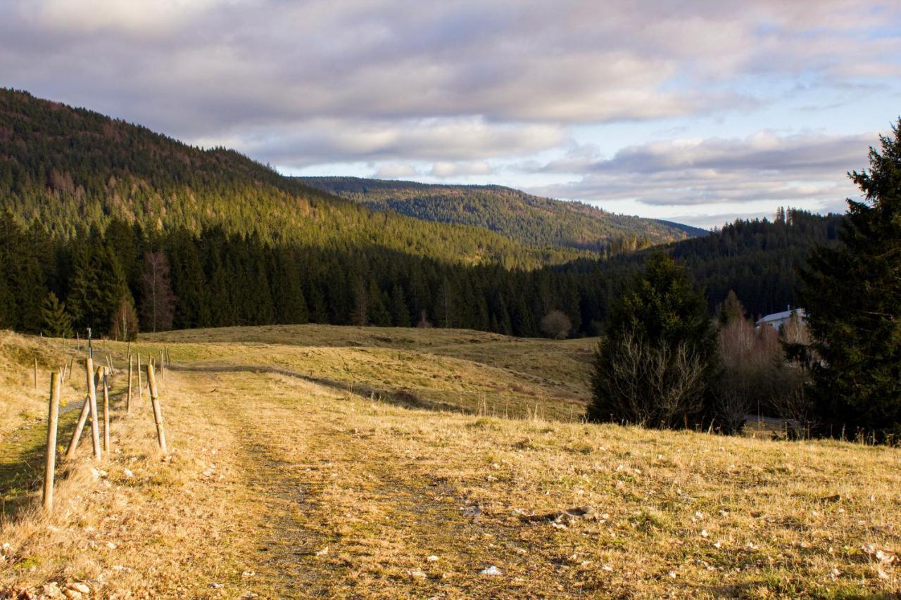 ברנאו אים שוורצוואלד Gemuetliche Ferienwohnung - Mitten Im Schwarzwald מראה חיצוני תמונה