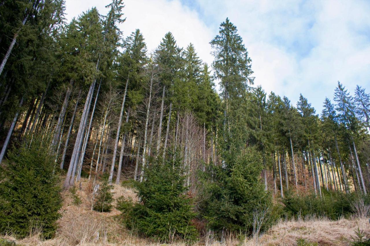 ברנאו אים שוורצוואלד Gemuetliche Ferienwohnung - Mitten Im Schwarzwald מראה חיצוני תמונה